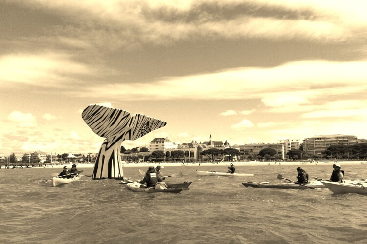 Balade en kayak de mer près d'Arcachon